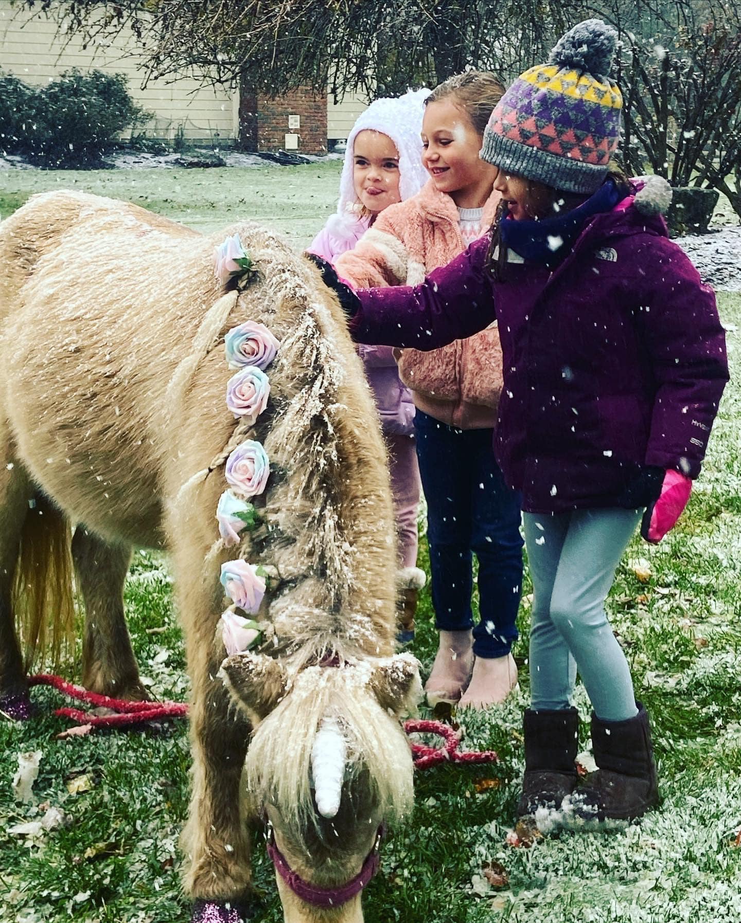 birthday party with pony rides, pony ride for birthday party, party petting zoo, petting farm party, pony rides birthday party, parties with ponies, circleville