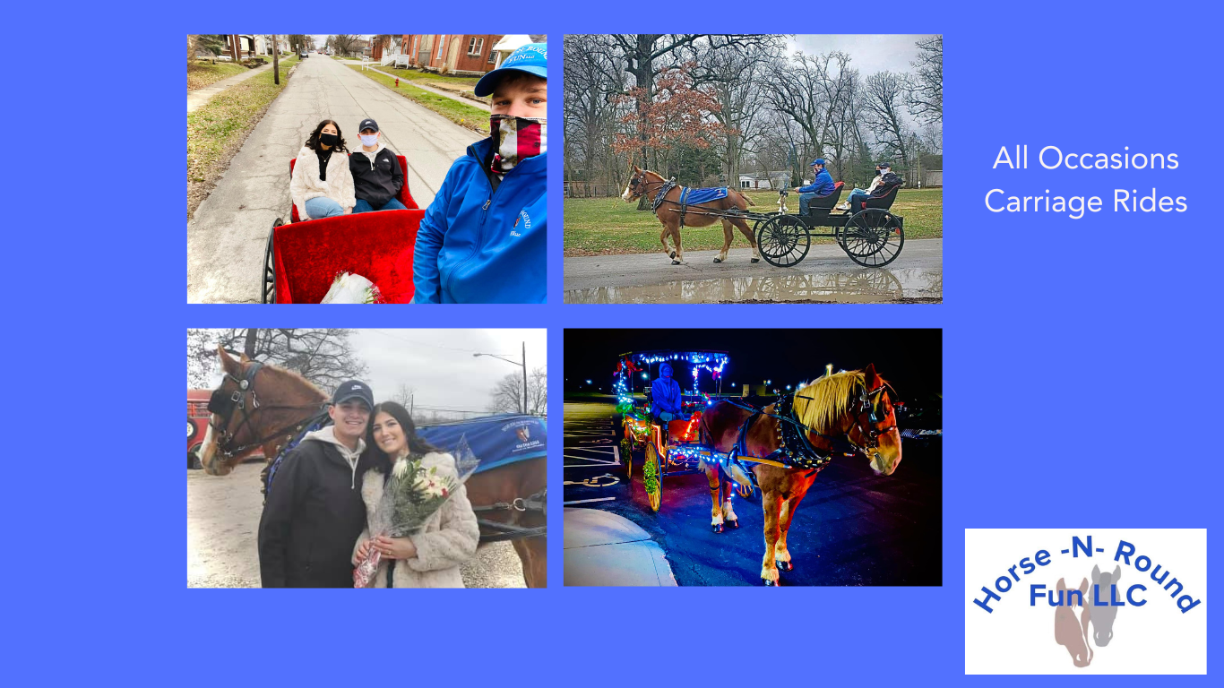 horse carriage for wedding, wedding carriage, horse wedding carriage, horse carriage wedding rental, romantic horse and carriage rides, romantic horse carriage