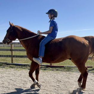 pony rides for birthday party
pony rides for party
horse rides birthday party
horseback riding rentals near me
ohio
horse rides near me
pony rides near me