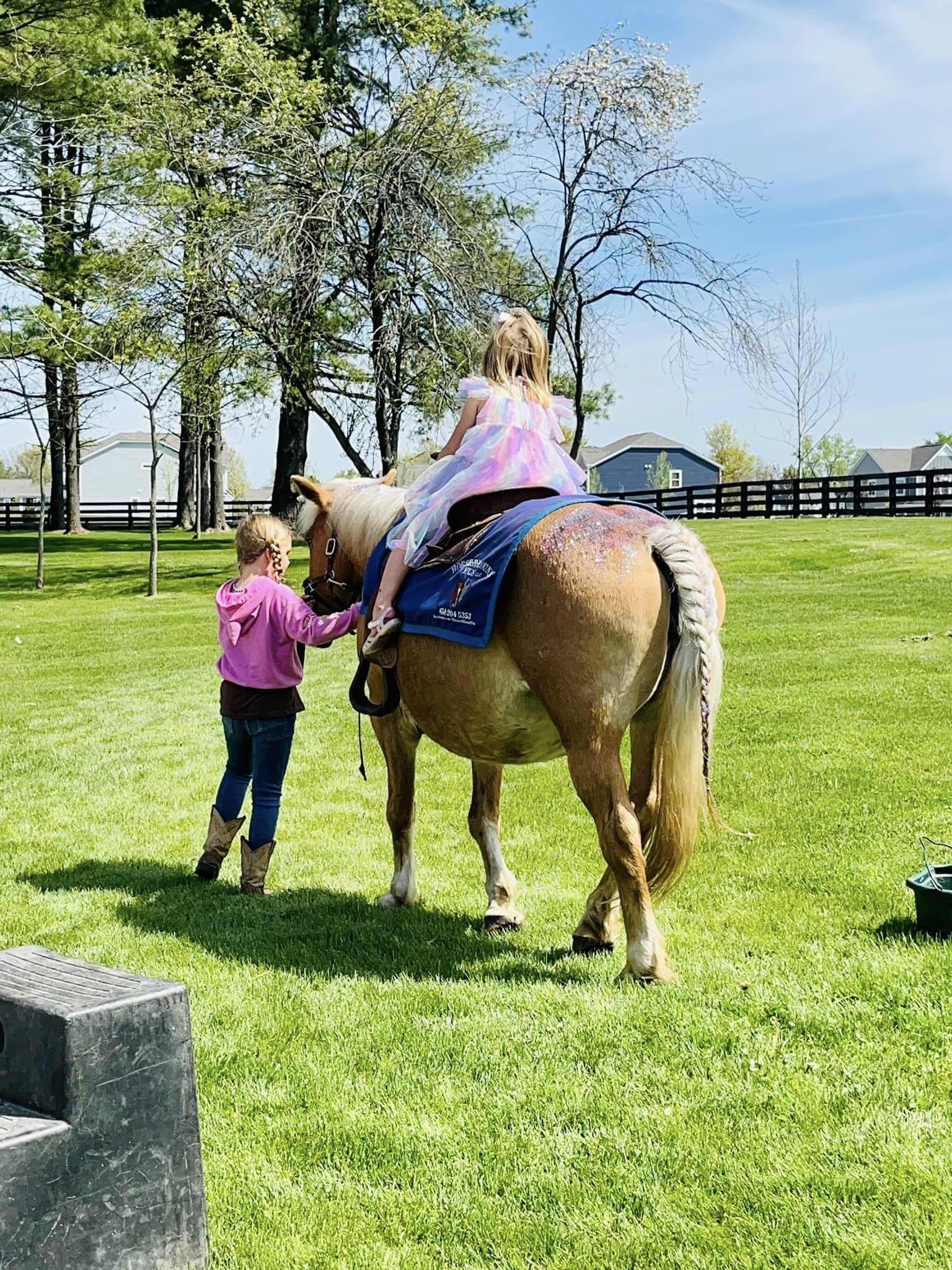 horseback riding rentals near me
horse rides birthday party
pony rides for party
pony rides for birthday party
pony rides near me
horse rides
ohio