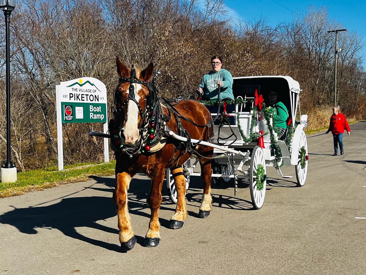 carriage rides in columbus ohio, carriage rides columbus ohio, horse carriage for wedding, 
horse for wedding, 
wedding carriage, 
horse wedding carriage
ohio