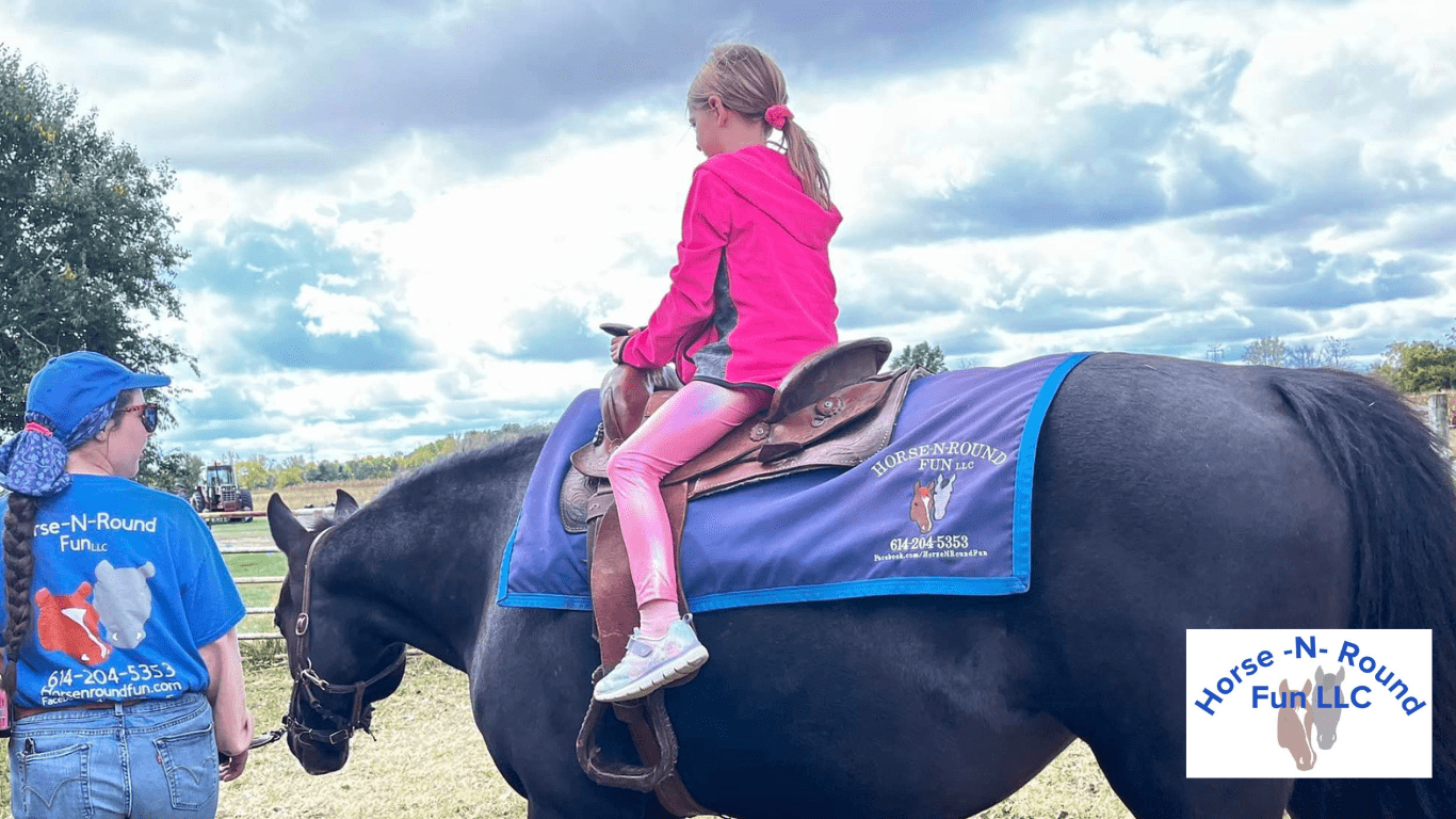 mobile pony rides
pony farm near me
pony ride farm near me
mobile pony party
pony riding experience near me
Pony rides near me
pony rides near me
horse rides
oh