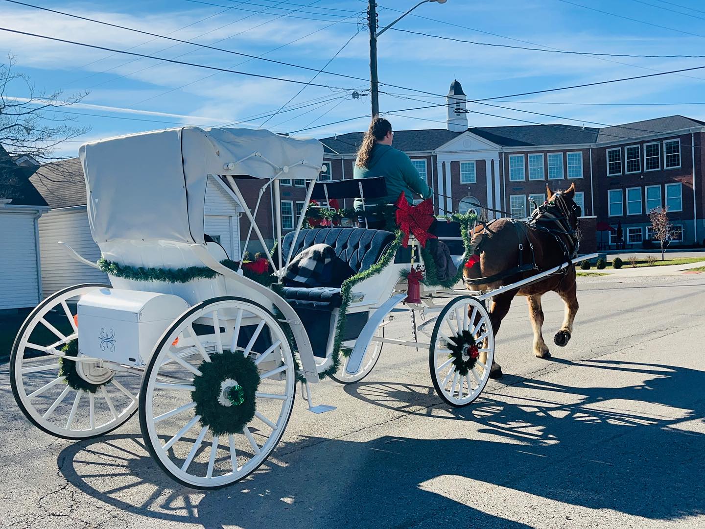carriage rides in columbus ohio, carriage rides columbus ohio, horse carriage for wedding, 
horse for wedding, 
wedding carriage, 
horse wedding carriage
ohio