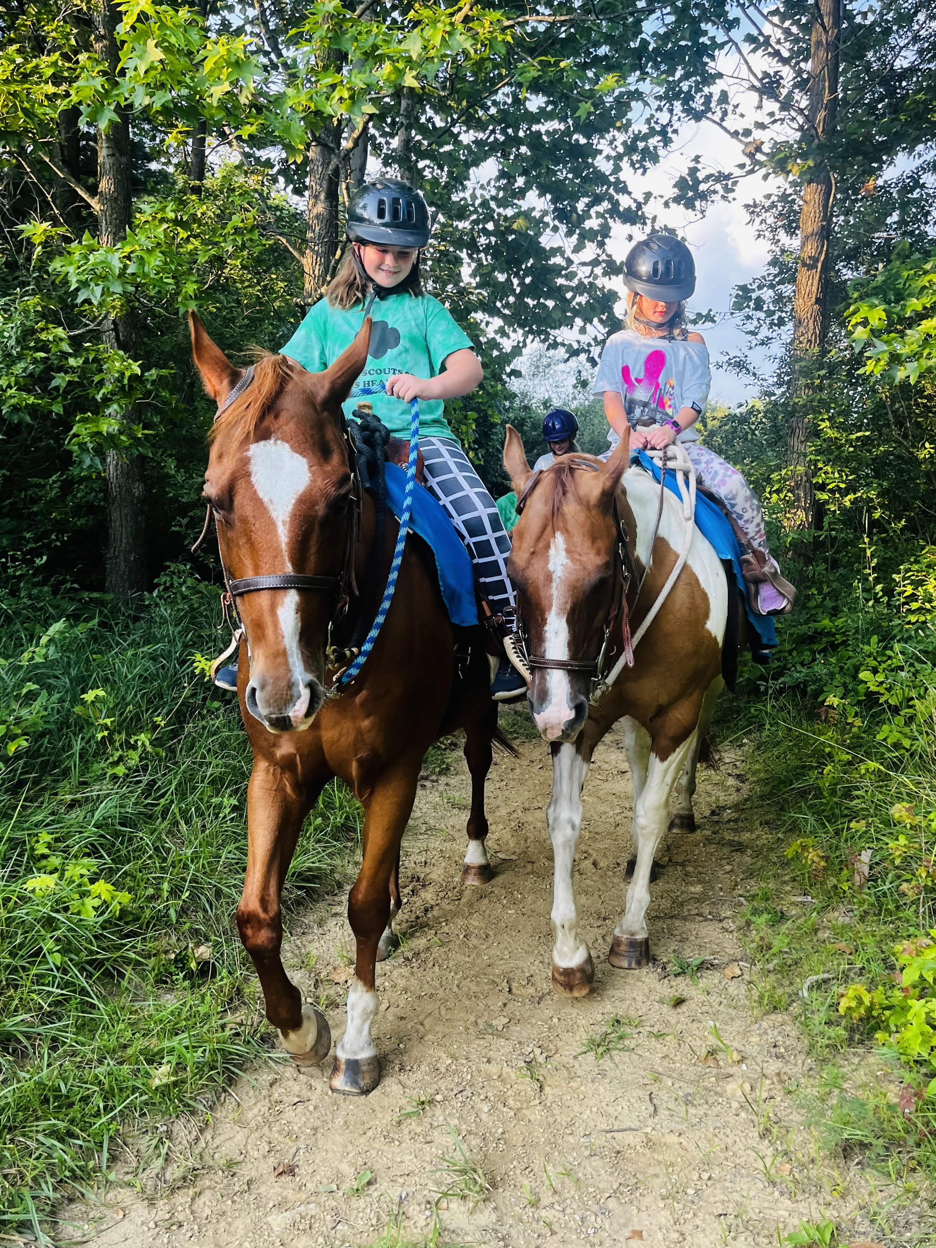 horse trail rides in ohio
best horseback trail riding near me
horseback trail riding in ohio
horse trail riding rentals near me
family horseback trail riding
OH