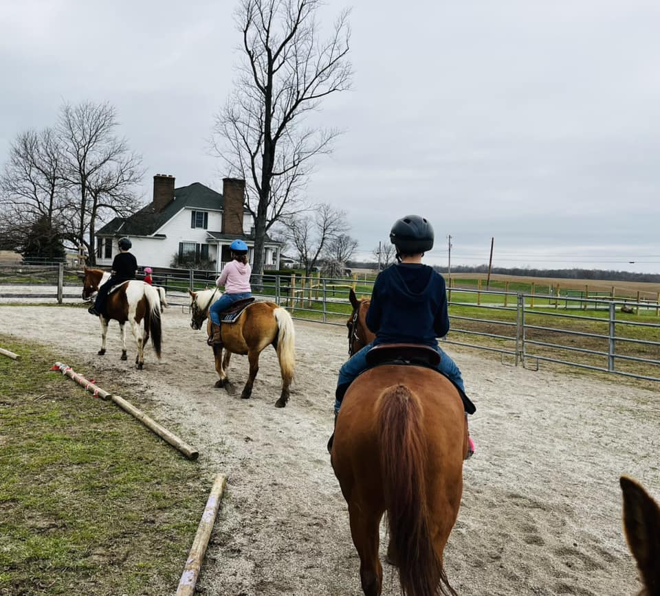 birthday party pony rental
rent ponies for party
birthday party horse riding
birthday party horses
birthday party pony rides near me
birthday party with horses 