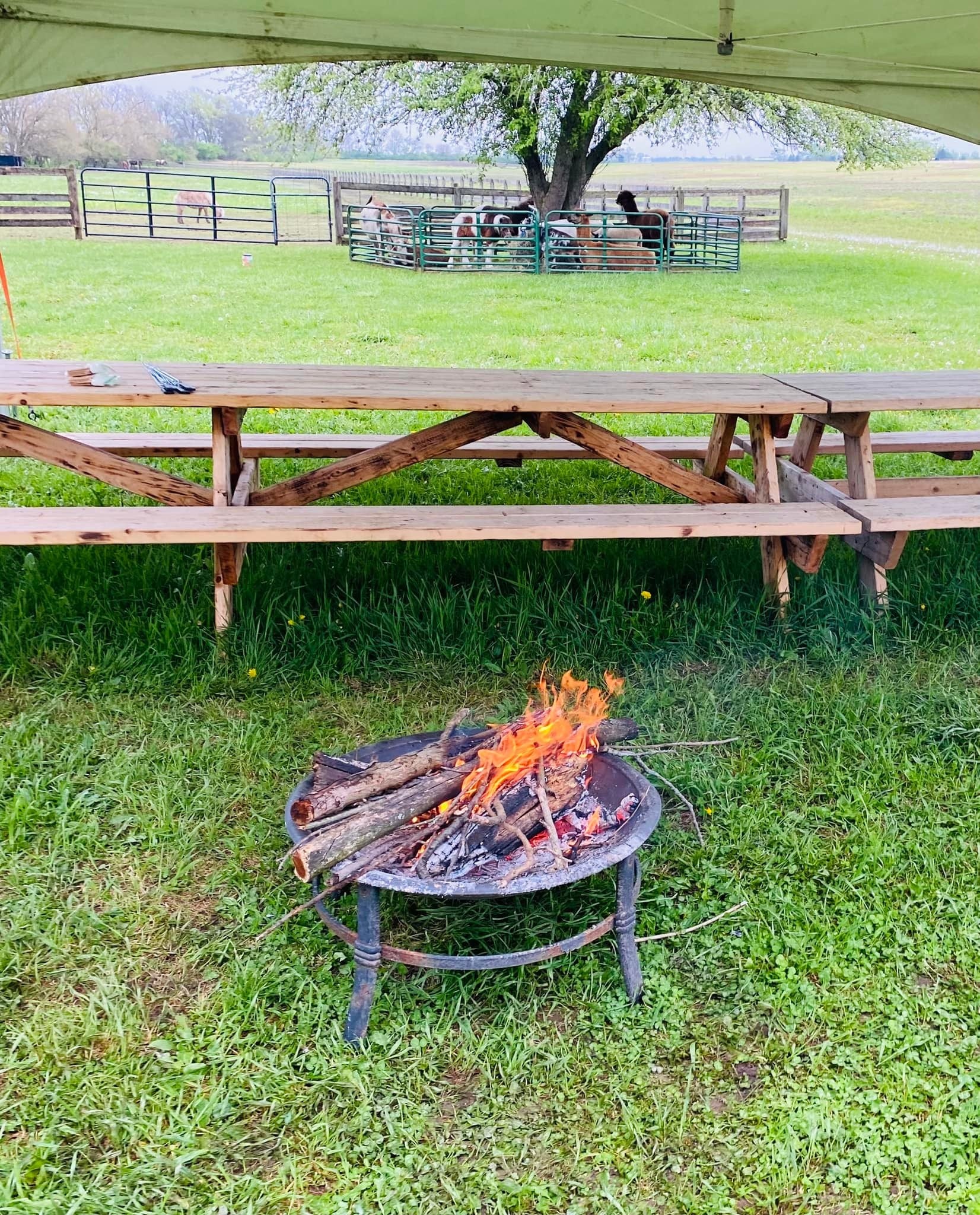 hayride tractor
bonfire night traditions
hayride rental near me
hayride wagon plans
hayride farms near me
bon fire party
hayride
hayrides
ohio