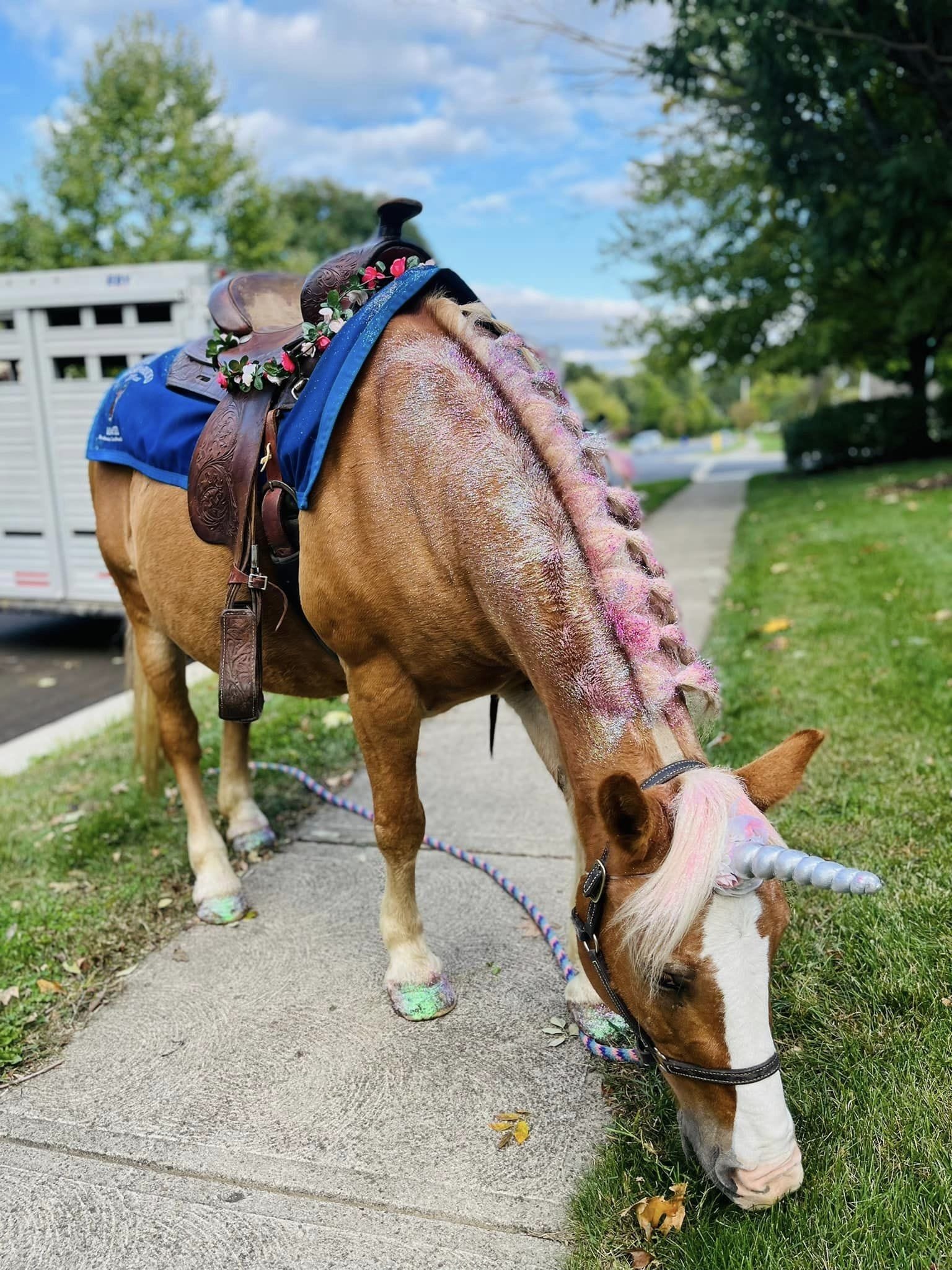 farm venue, farm party, unicorn party, pony party, pony rides, horse rides, horse party, zebra party, mobile pony ride, mobile pony rides, mobile petting zoo oh