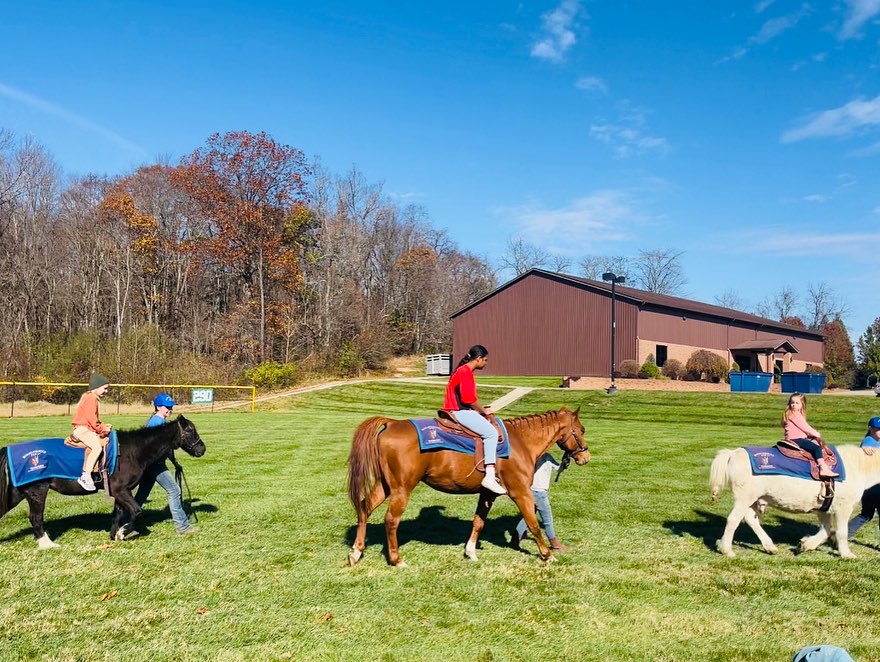 birthday party horses
birthday party pony rides near me
birthday party with horses near me
birthday pony rides near me