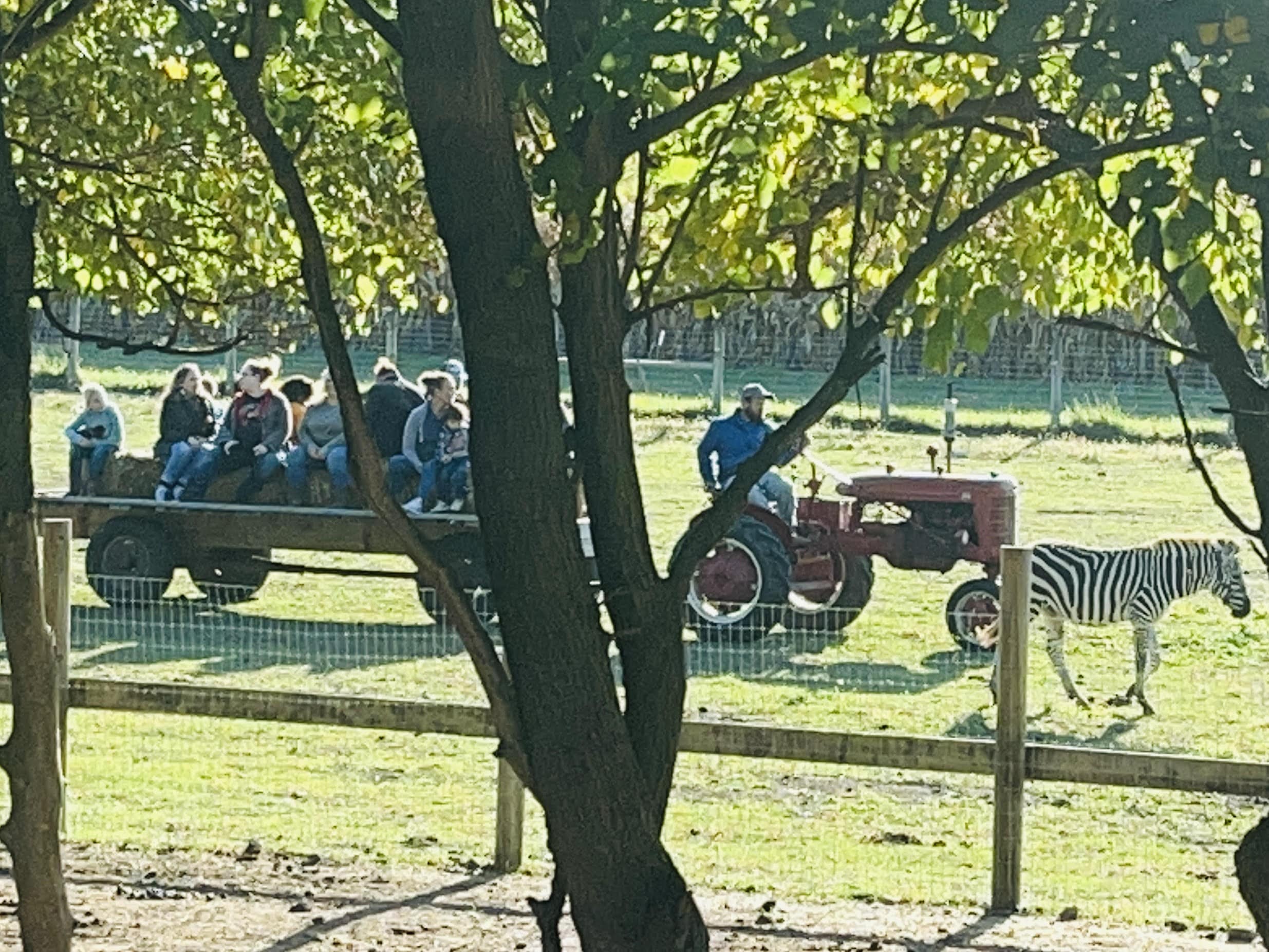 hayride
hayrides
hayride halloween
bonfire birthday party
hayride wagon
hayride fall
hayride trailer
ohio