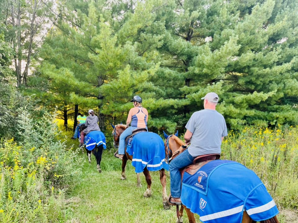 horse riding trail ride
horseback riding trail rides
horseback trail ride
horse trail riding places near me
horseback trail riding rentals near me
Ohio