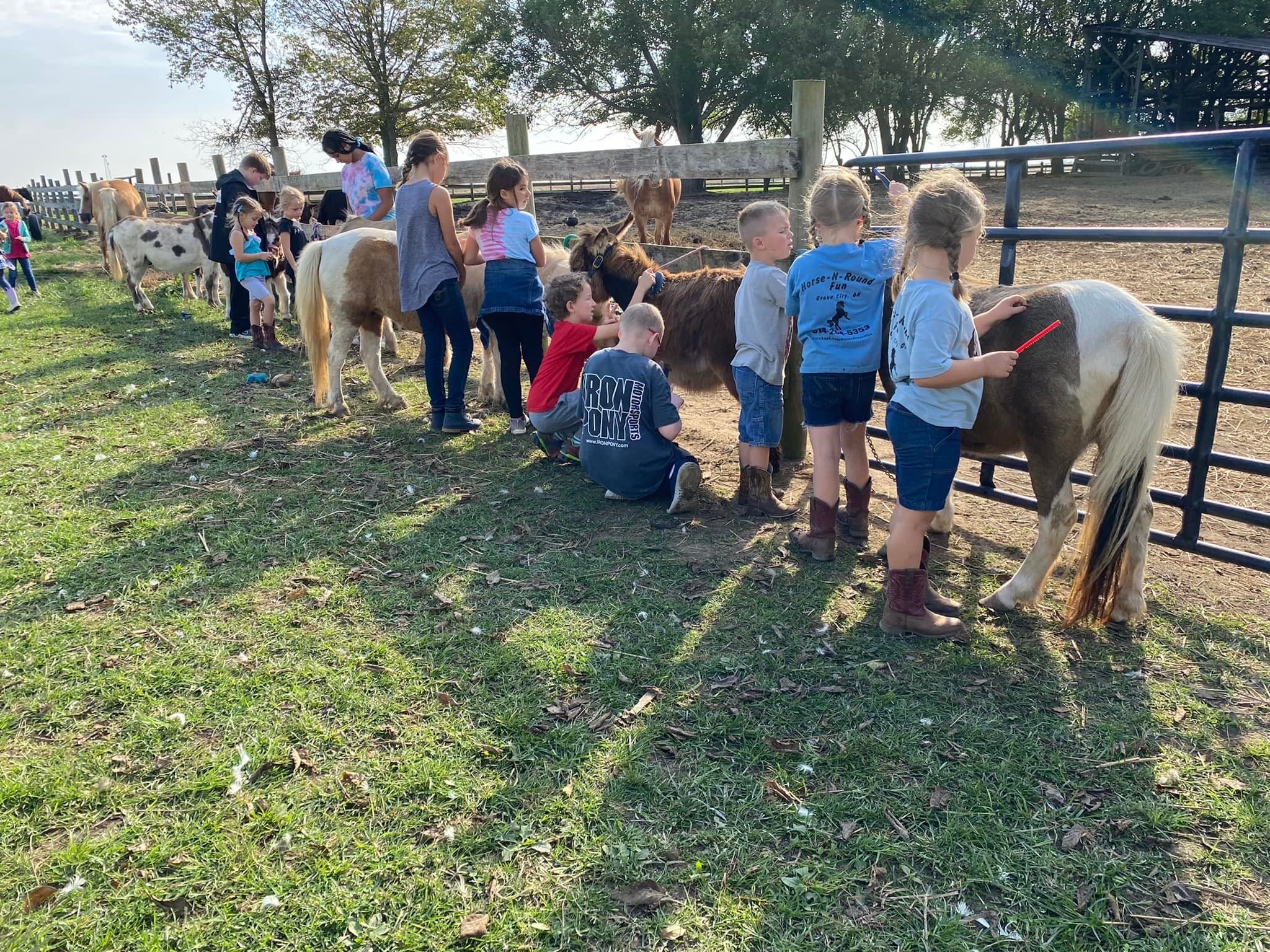 school field trip
farm tour
farm party
farm venue
grove city ohio
columbus ohio
washington court house ohio
mount sterling ohio
circleville ohio
chillicothe oh