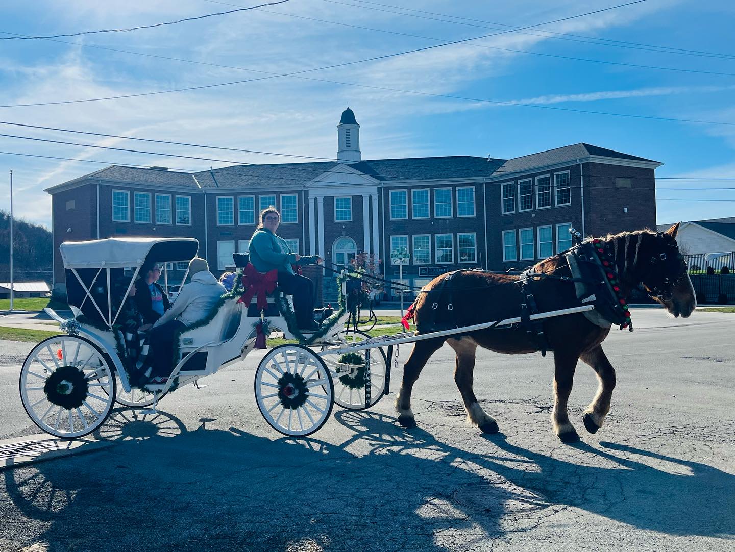 carriage rides in columbus ohio, carriage rides columbus ohio, horse carriage for wedding, 
horse for wedding, 
wedding carriage, 
horse wedding carriage
ohio
