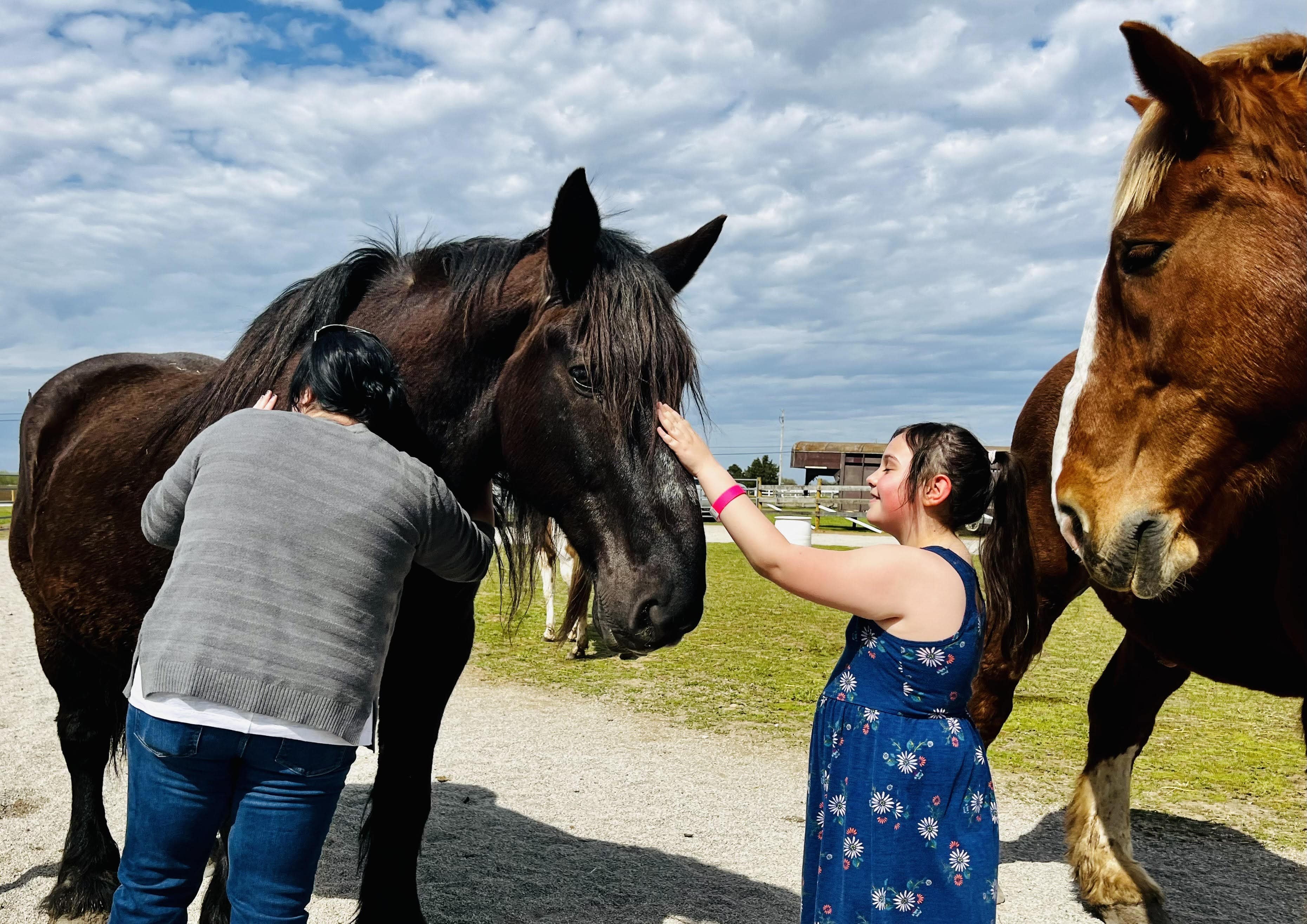 farm animal parties
horse rentals for parties
horse n around
horse'n around
ohio petting zoos
ohio petting zoo
petting zoos ohio
petting zoo ohio
horse birthday