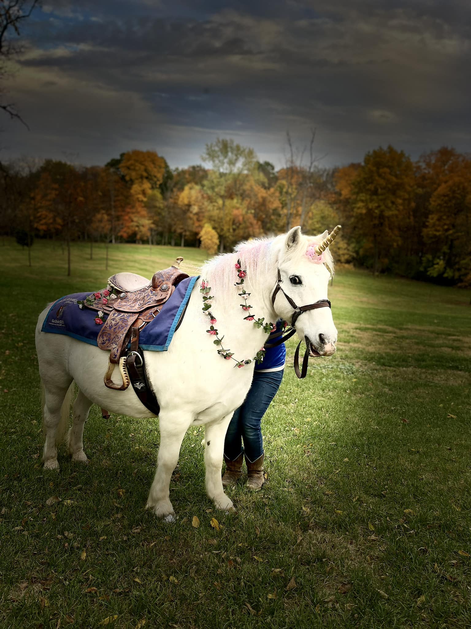 birthday party horses
birthday party pony rides near me
birthday party with horses near me
friendly pony parties
horse birthday parties
columbus ohio
