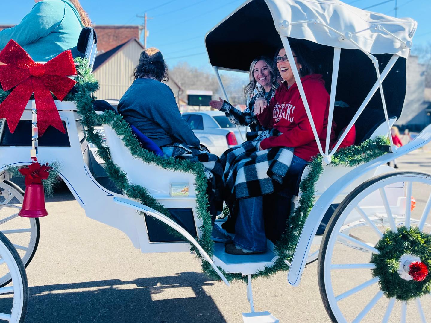 carriage rides in columbus ohio, carriage rides columbus ohio, horse carriage for wedding, 
horse for wedding, 
wedding carriage, 
horse wedding carriage
ohio