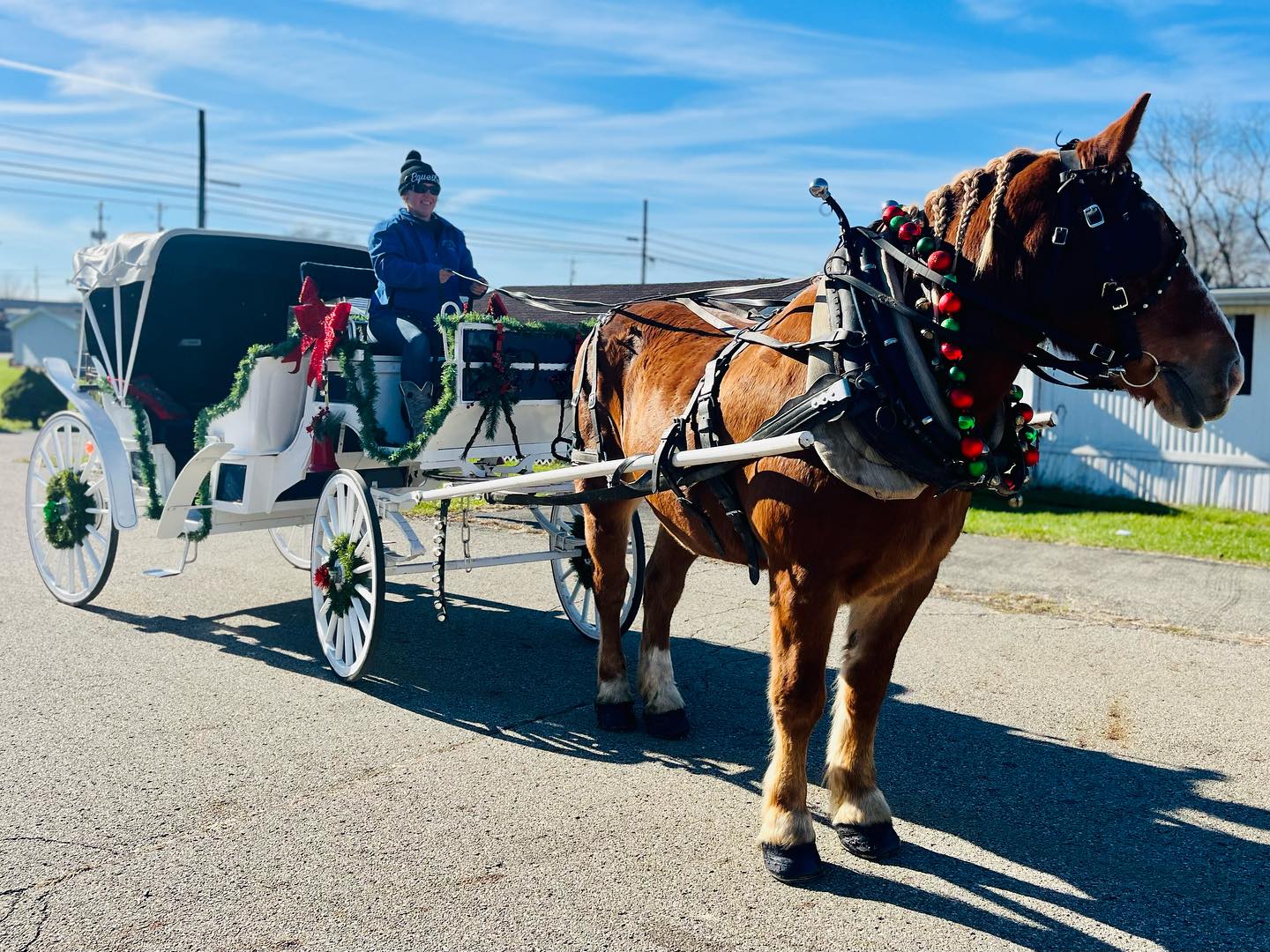carriage rides in columbus ohio, carriage rides columbus ohio, horse carriage for wedding, 
horse for wedding, 
wedding carriage, 
horse wedding carriage
ohio