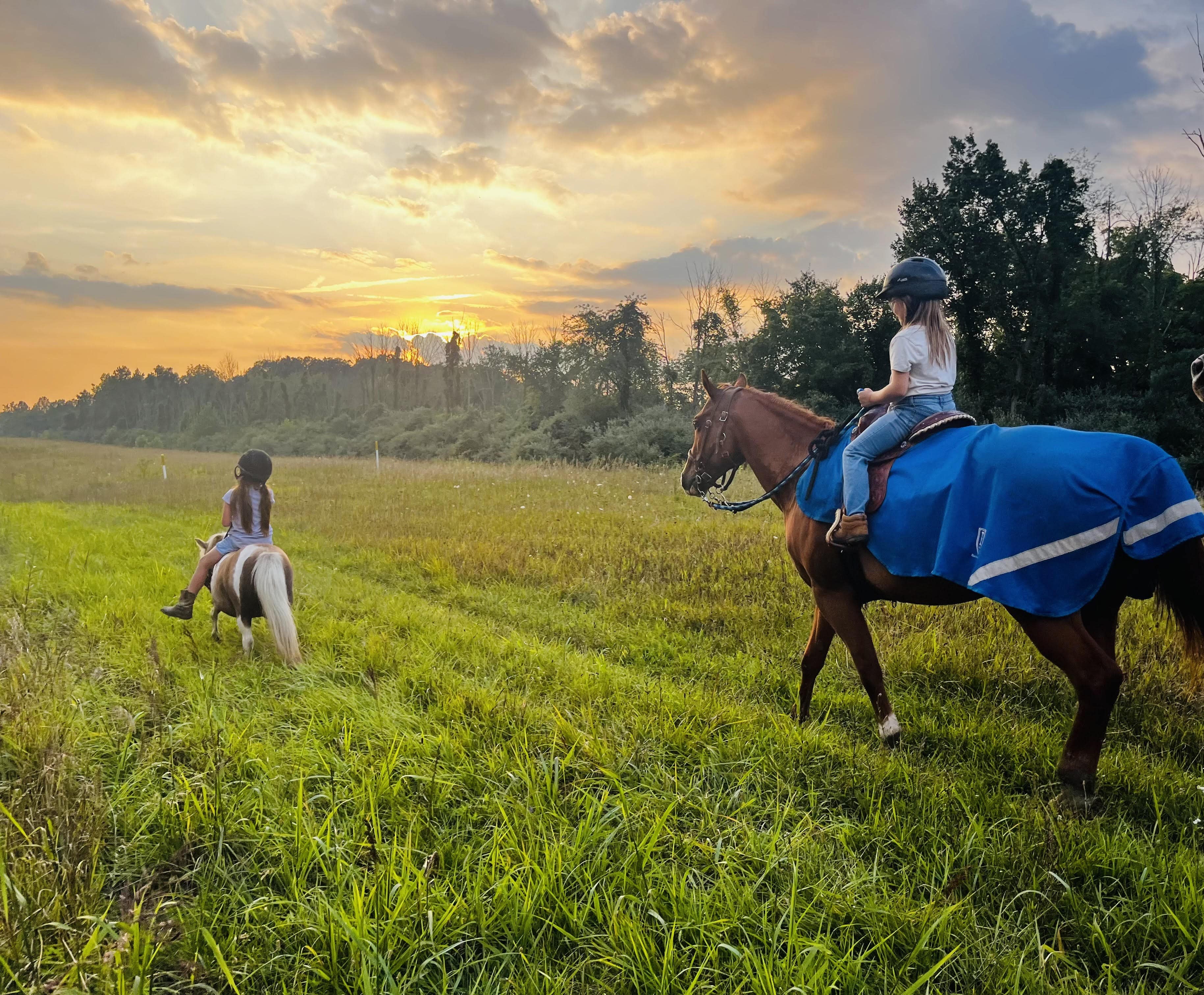 horseback trail rides
horseback trail riding
horse trail rides
horse riding trail ride
horseback riding trail rides
guided horse rides near me
columbus ohio