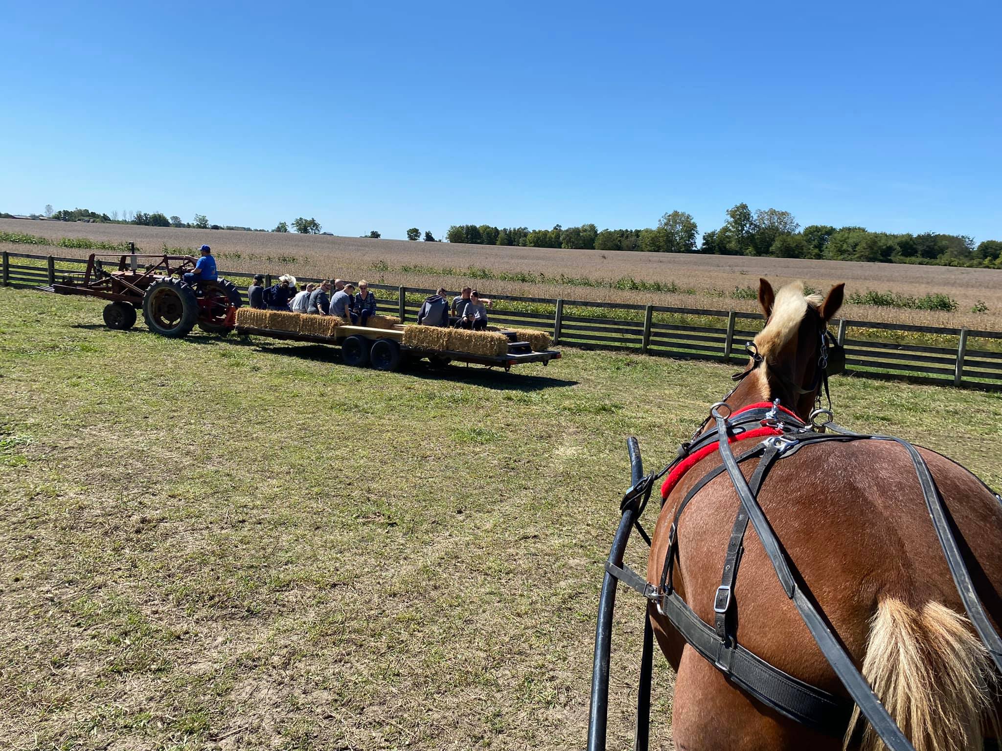 hayride wagon
hayride fall
hayride trailer
bonfire night bonfire party ideas
hayride farm
hayride tractor
bonfire night traditions
ohio
hayride rental near me