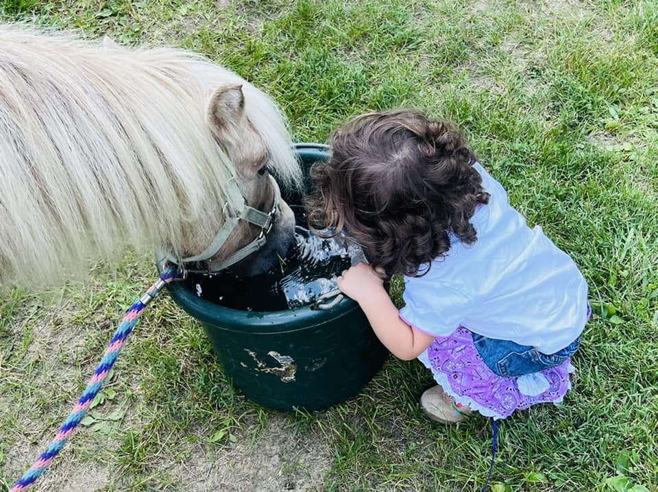 horseback riding birthday party near me
horse rental for party
horses for rent for parties
horse rental for parties
horse for rent for party
horse party rental
