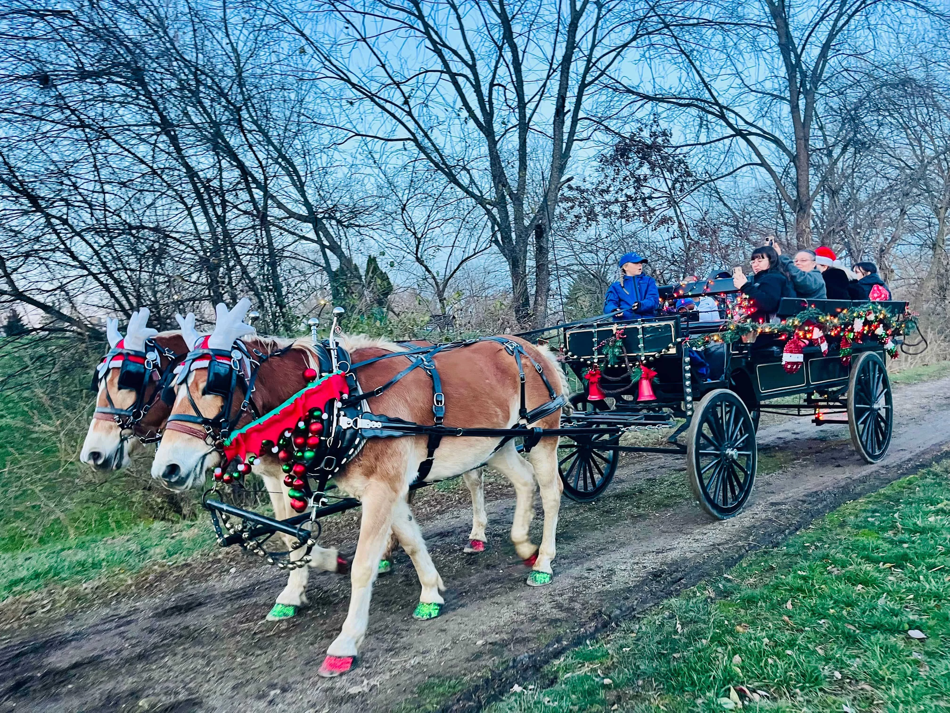 Carriage Rd Carriage Rides Carriage Rides